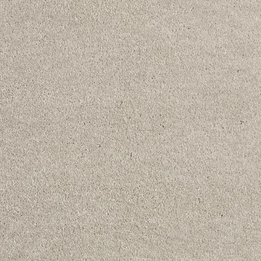 Tapijt Canora Beige